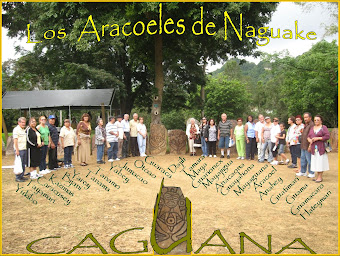 Aracoeles de  la Liga  en Caguana