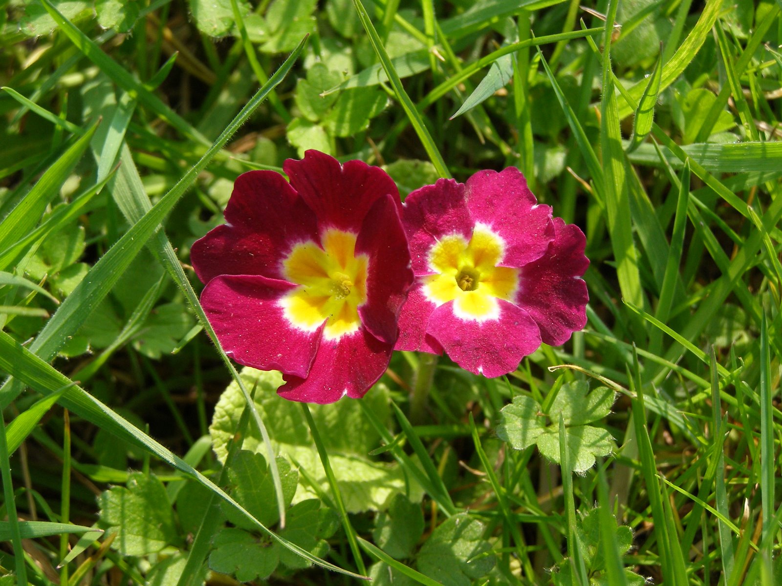 [P4160027.JPG]