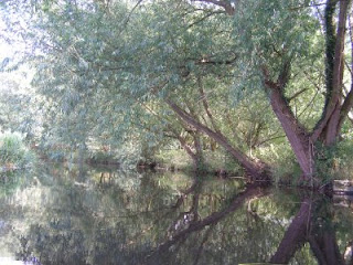 The banks of the River Little Ouse