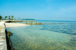 Dibawah Ini Yang Bukan Termasuk Upaya Pelestarian Laut Dan Pantai Adalah