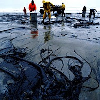 vazemento, petróleo, golfo, méxico, British Petroleum, desastre ambiental