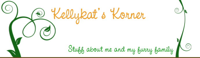 Kellykat's Korner