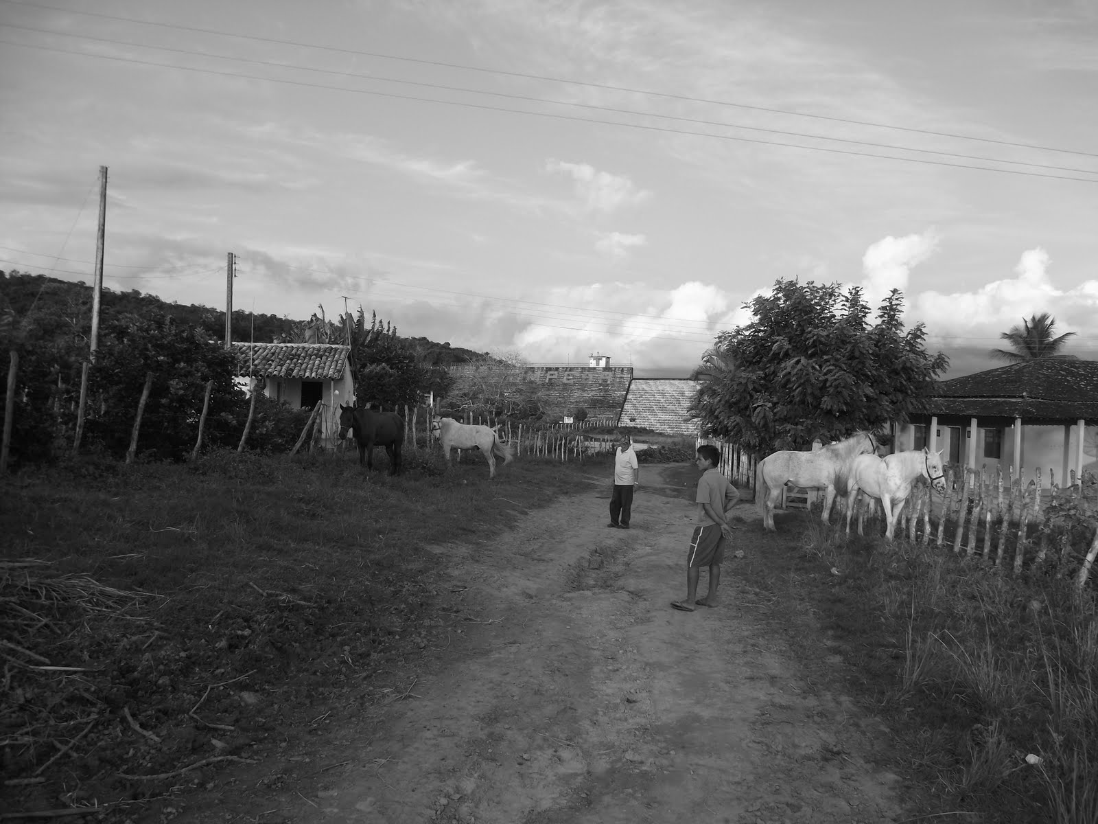 Objetiva Viva Agrestina PE. Brasil.