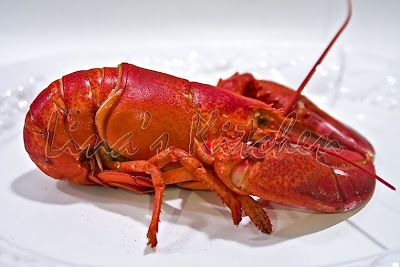 Maine Lobster Truck Nyc Food Curated Maine Lobster Truck Nyc Food Curated