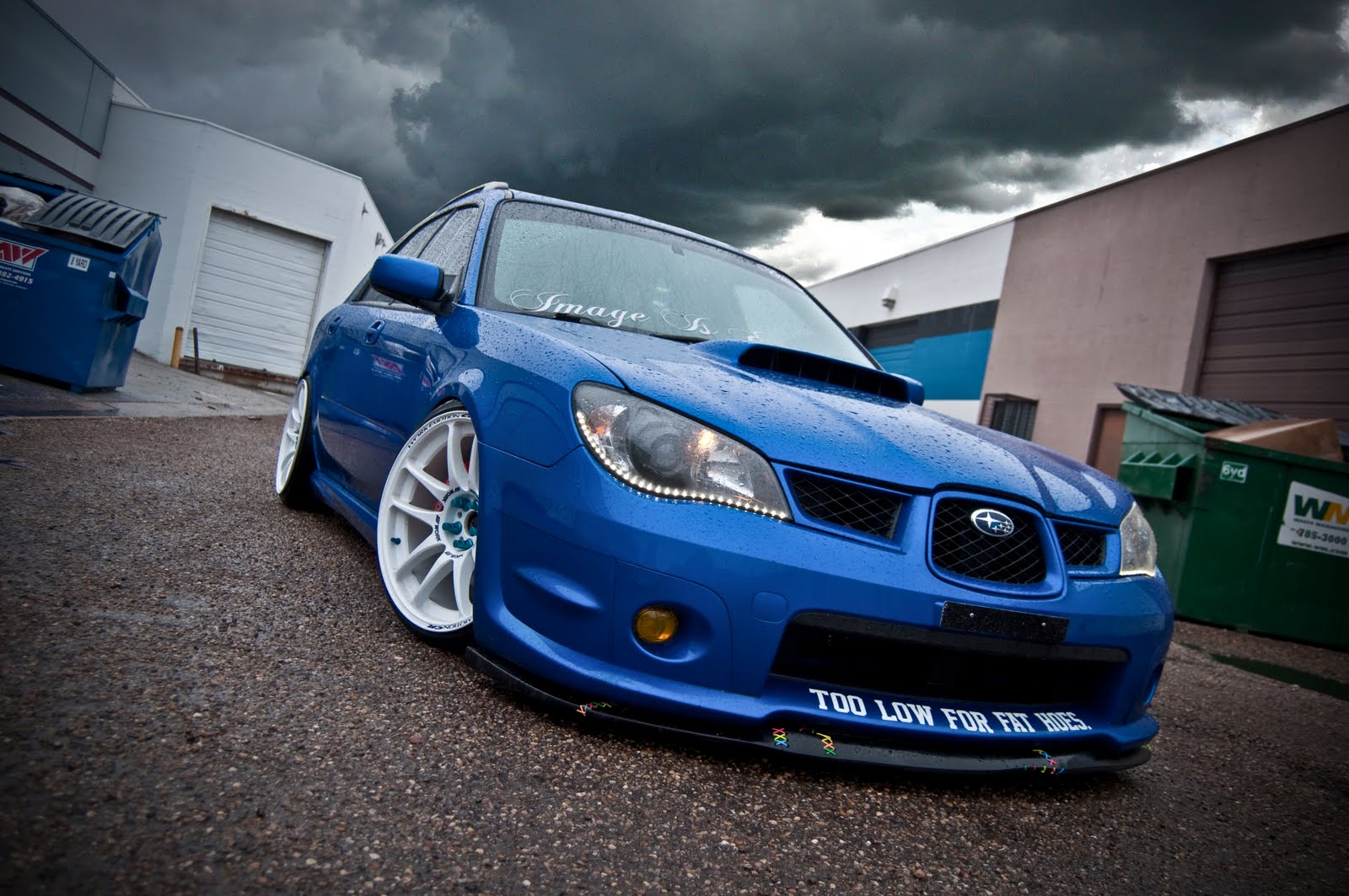 subaru лиса