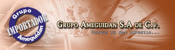Grupo Ameguidan S.A. de C.V.