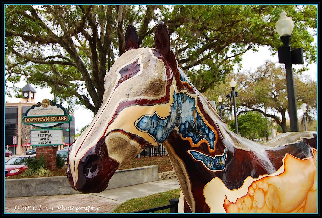 Ocala, Central Florida & Beyond The horse with no eyes...