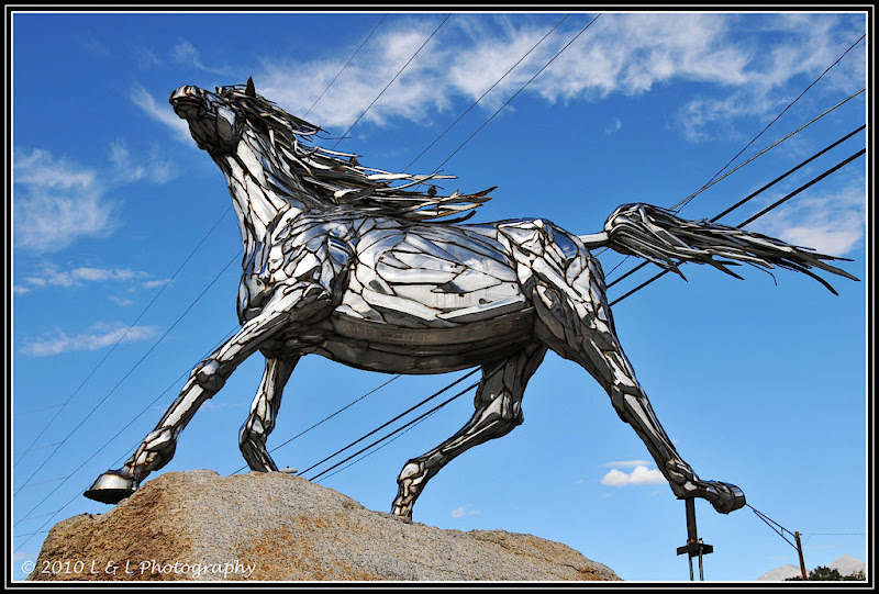Colorado in Color Metallic horse Salida