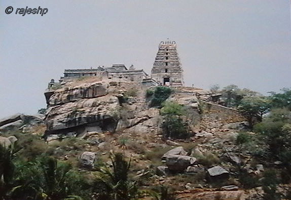 [IMGA0521.JPG]