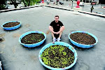 Our First Roof Garden