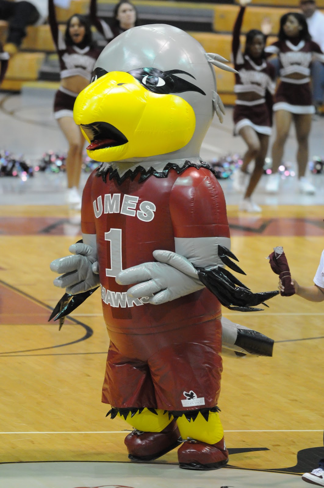 MEAC/SWAC SPORTS MAIN STREET™ UMES Hawks will try to break through