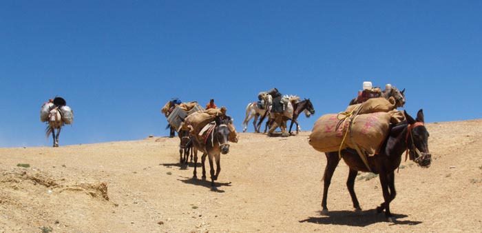 [Ladakh+Nomads+2005+102.jpg]