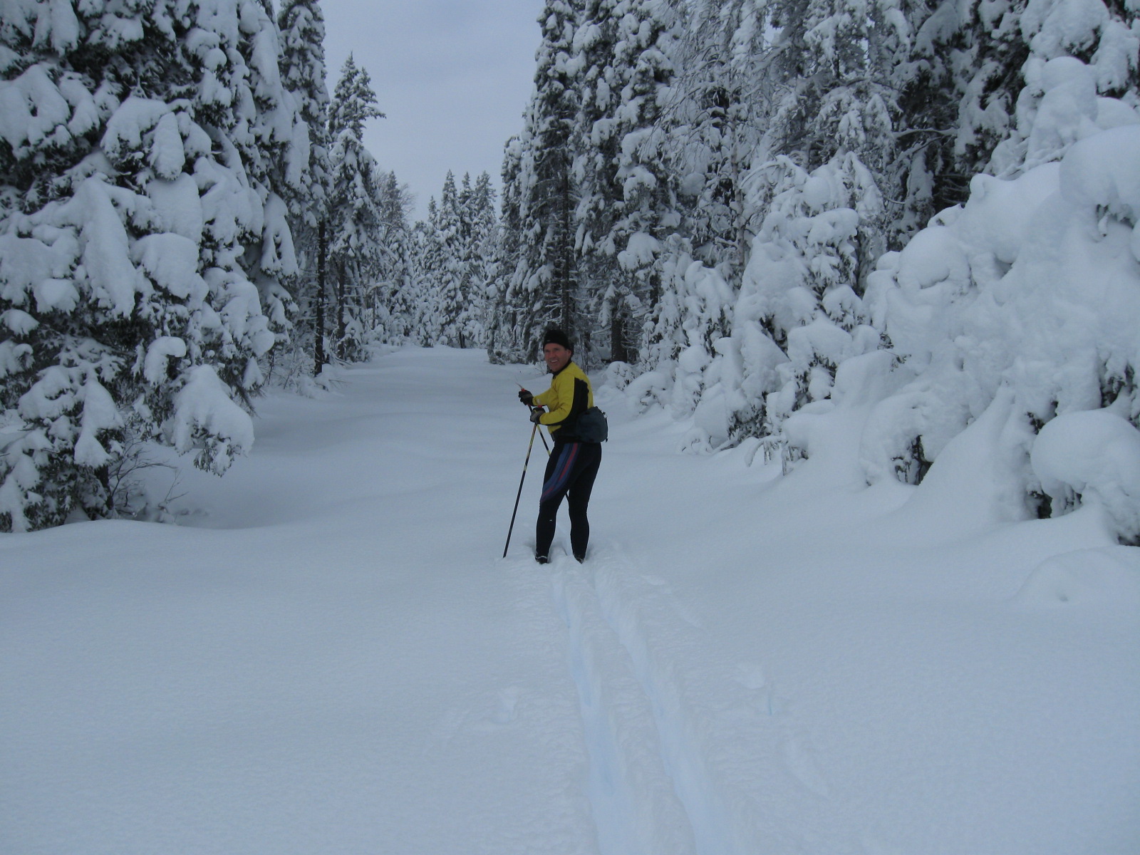 Ski de Fond au Mont GrandFonds