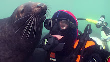 Male seal and Ben
