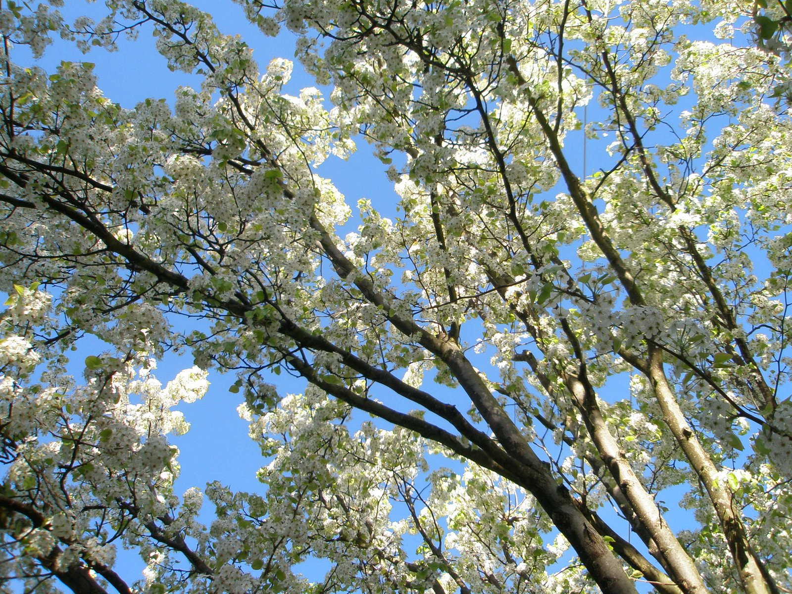 [P3150019.JPG]