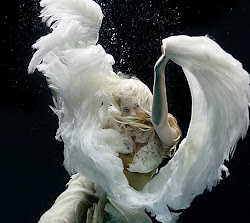 underwater shots zena holloway shoots angel water shoot under stunning swan blogthis email photographer baby