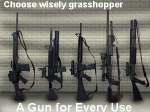 gun-collection.jpg