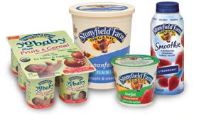 stonyfield farm organic yogurt