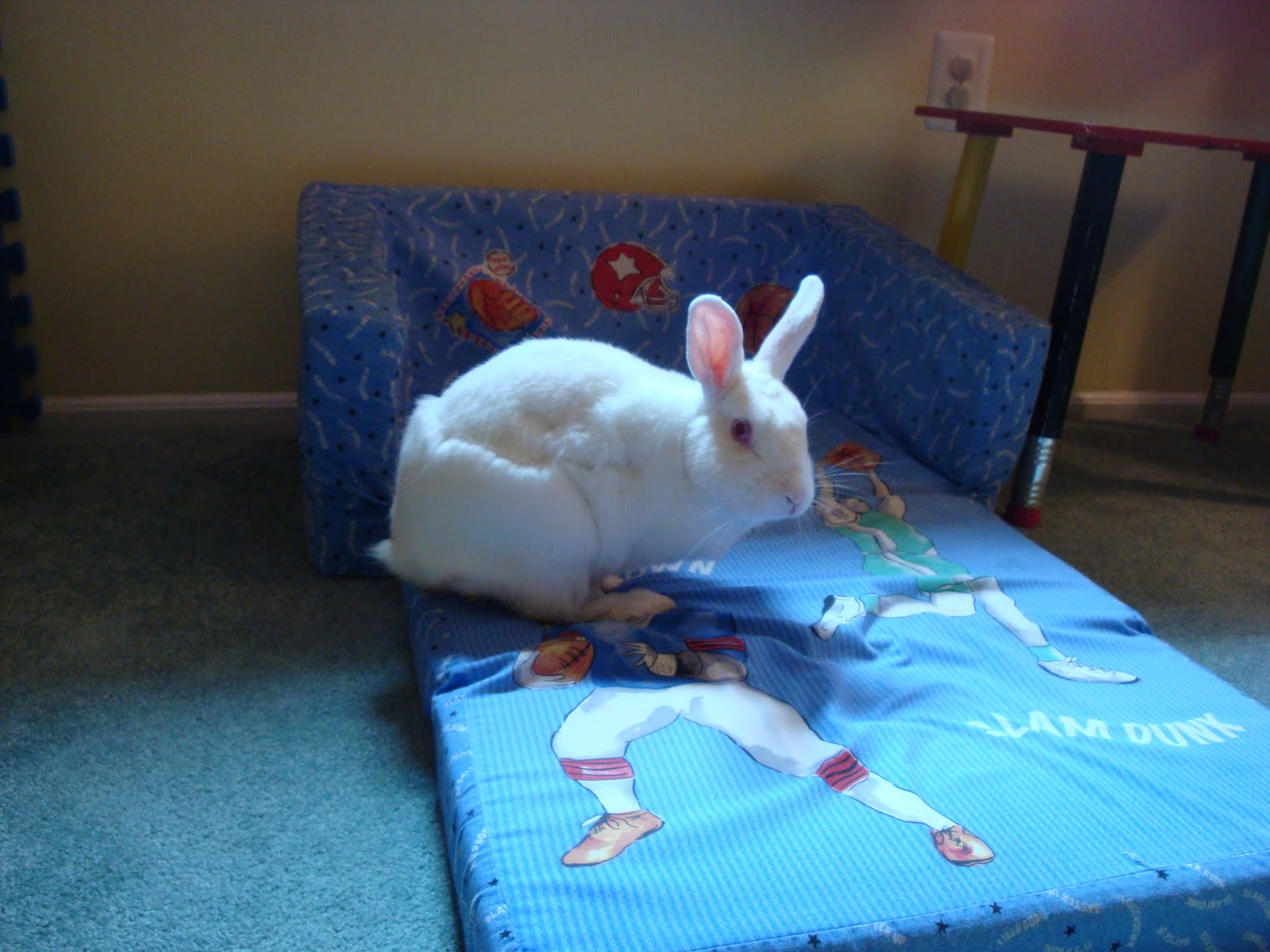 Peace, Love & Bunny Rabbit Dirty Rabbit!