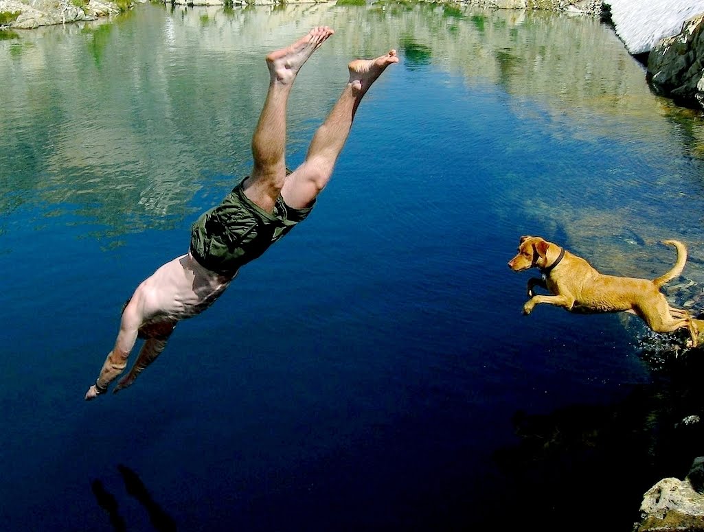 diving+boy+with+dog.jpg