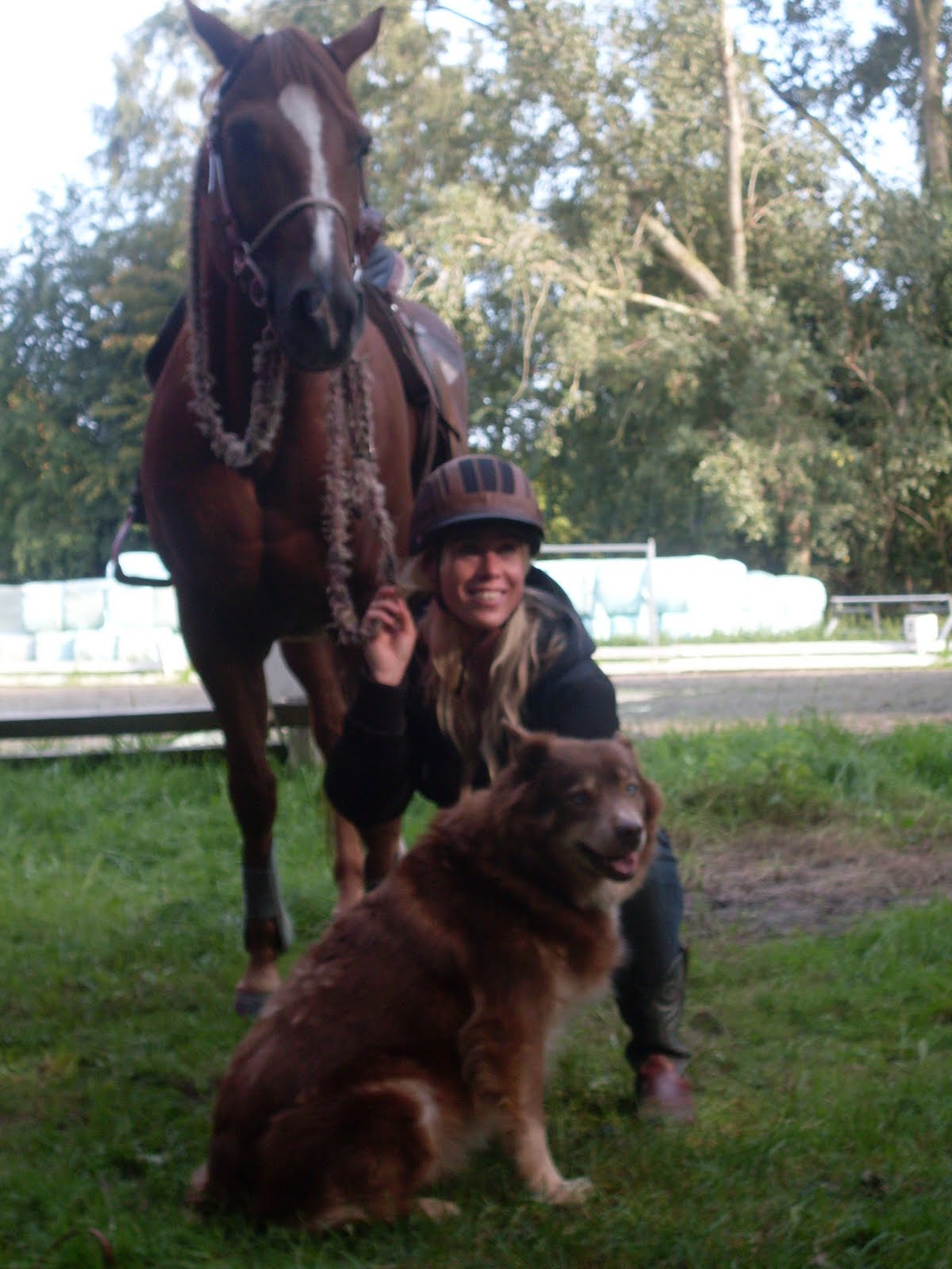 Horse & Dog Trail in Nederland Demo Horse and Dog Trail Open Dag St