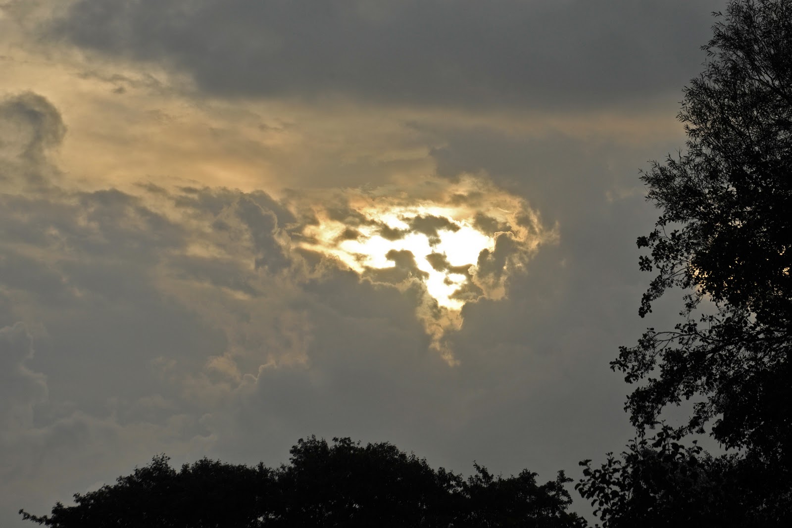 De Ontdekking van het Licht: De Ontdekking van de Hemel