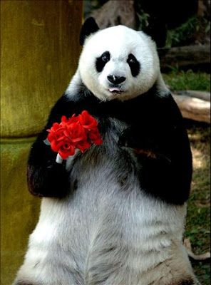panda_flowers.jpg