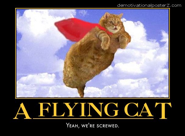 A flying cat - yeah we're screwed