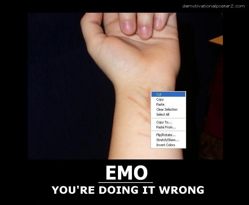 emo doing it wrong poster