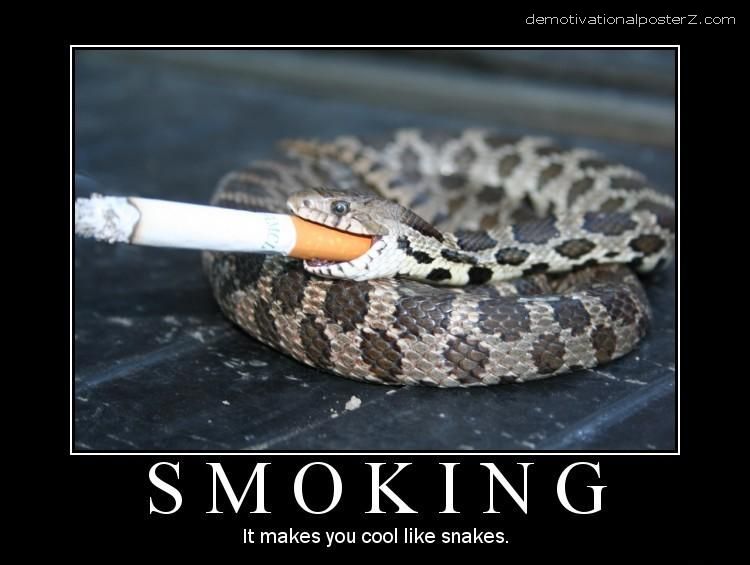 SMOKING - it makes you cool like snakes