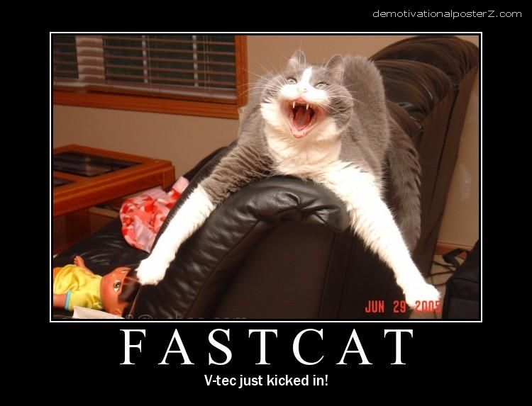 fastcat fast cat v tec motivational poster