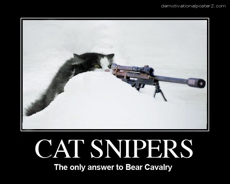 cat sniper in snow