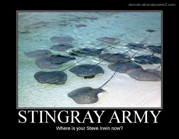 stingray army motivational poster