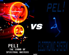 peli - spiritual master vs electronic system 2008
