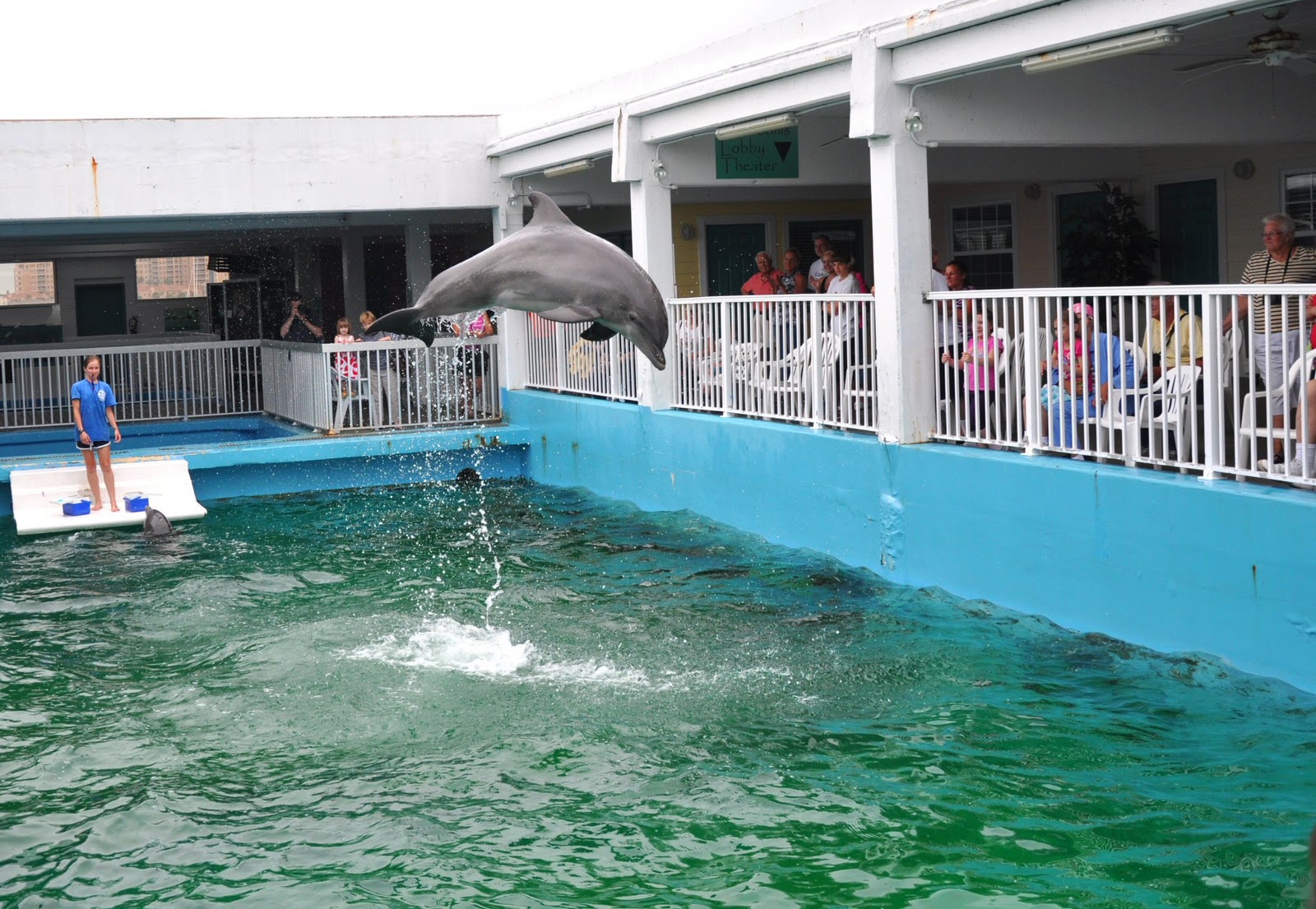 Magnum Arts Clearwater Marine Aquarium