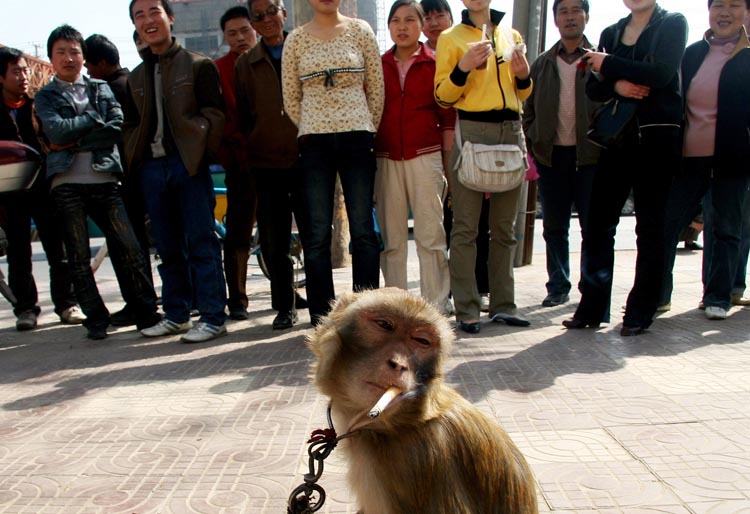 [knuttz_ueba_03.jpg]