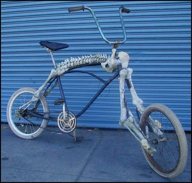 [Skeleton+Bicycle+(+Skeletfiets)+[800x600].jpg]