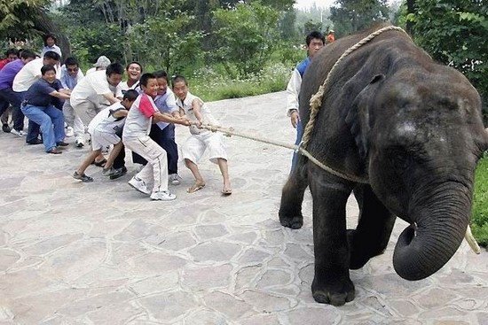 [funny-pictures-28838.jpg]