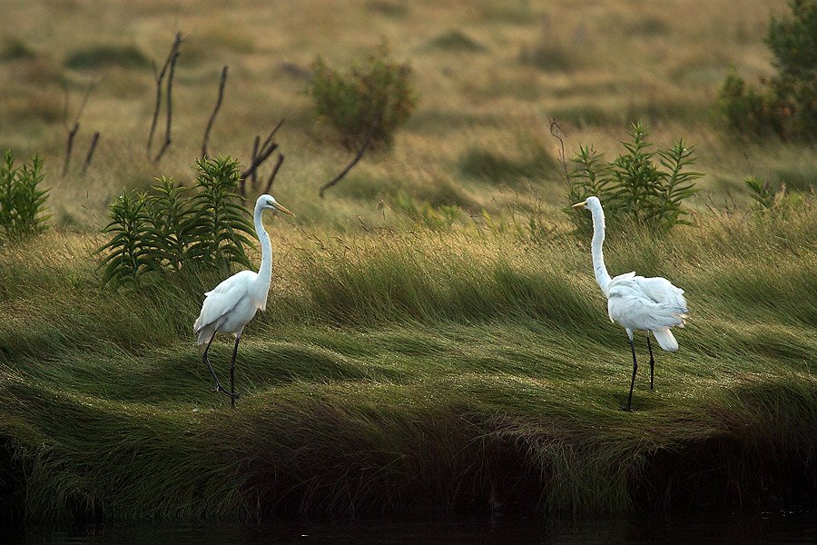 [1225217092fyJbqjT.jpg]