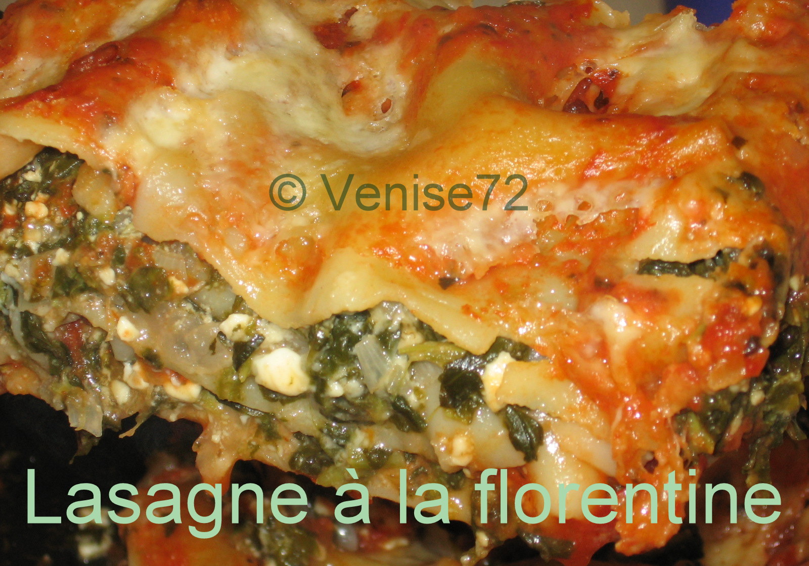 Les découvertes de Venise: Lasagne à la florentine