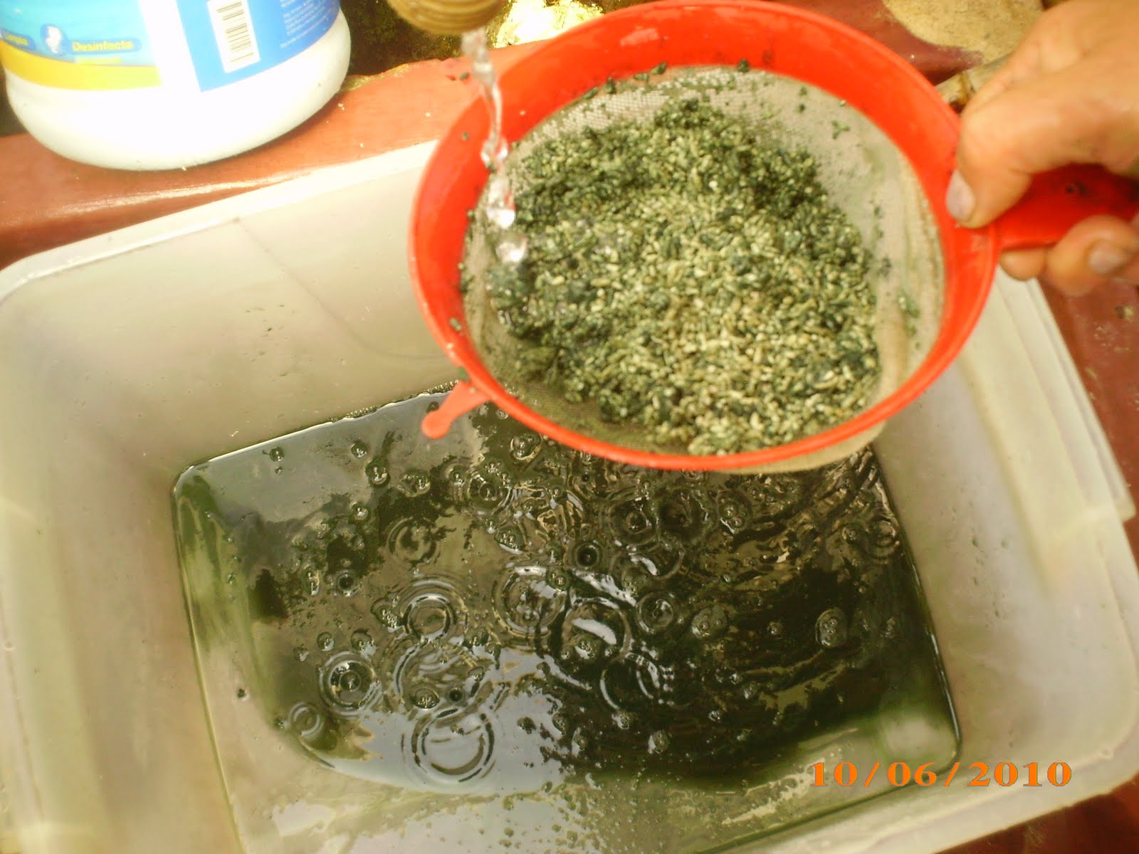 Productos MACHELI: Trichoderma sp