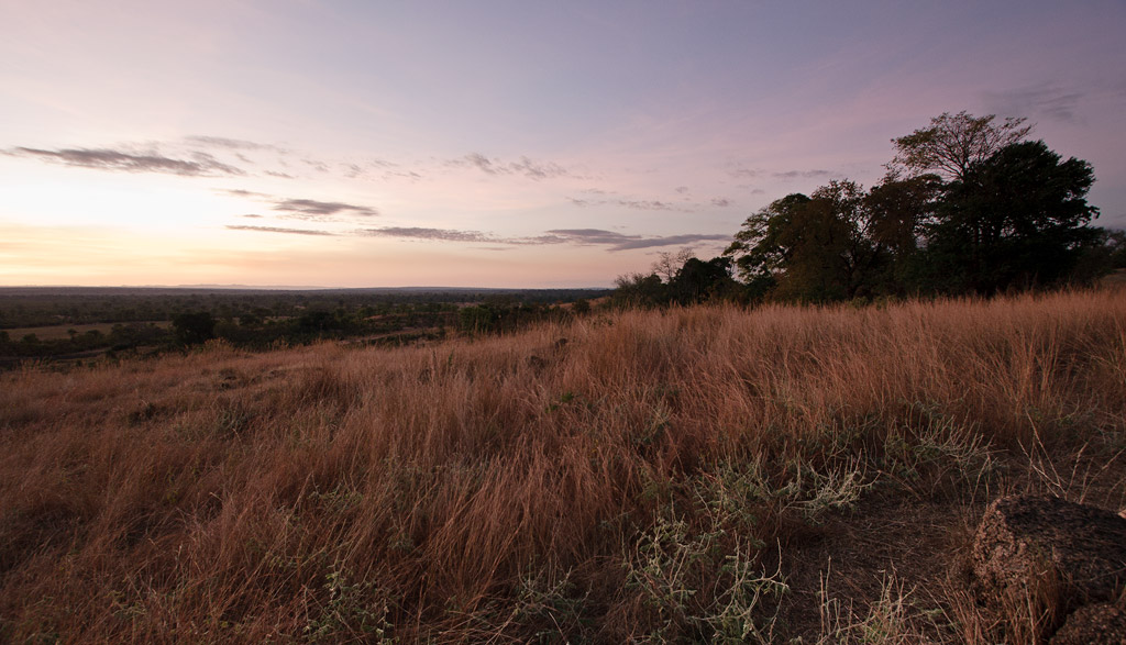 Evening, South Luangwa NP