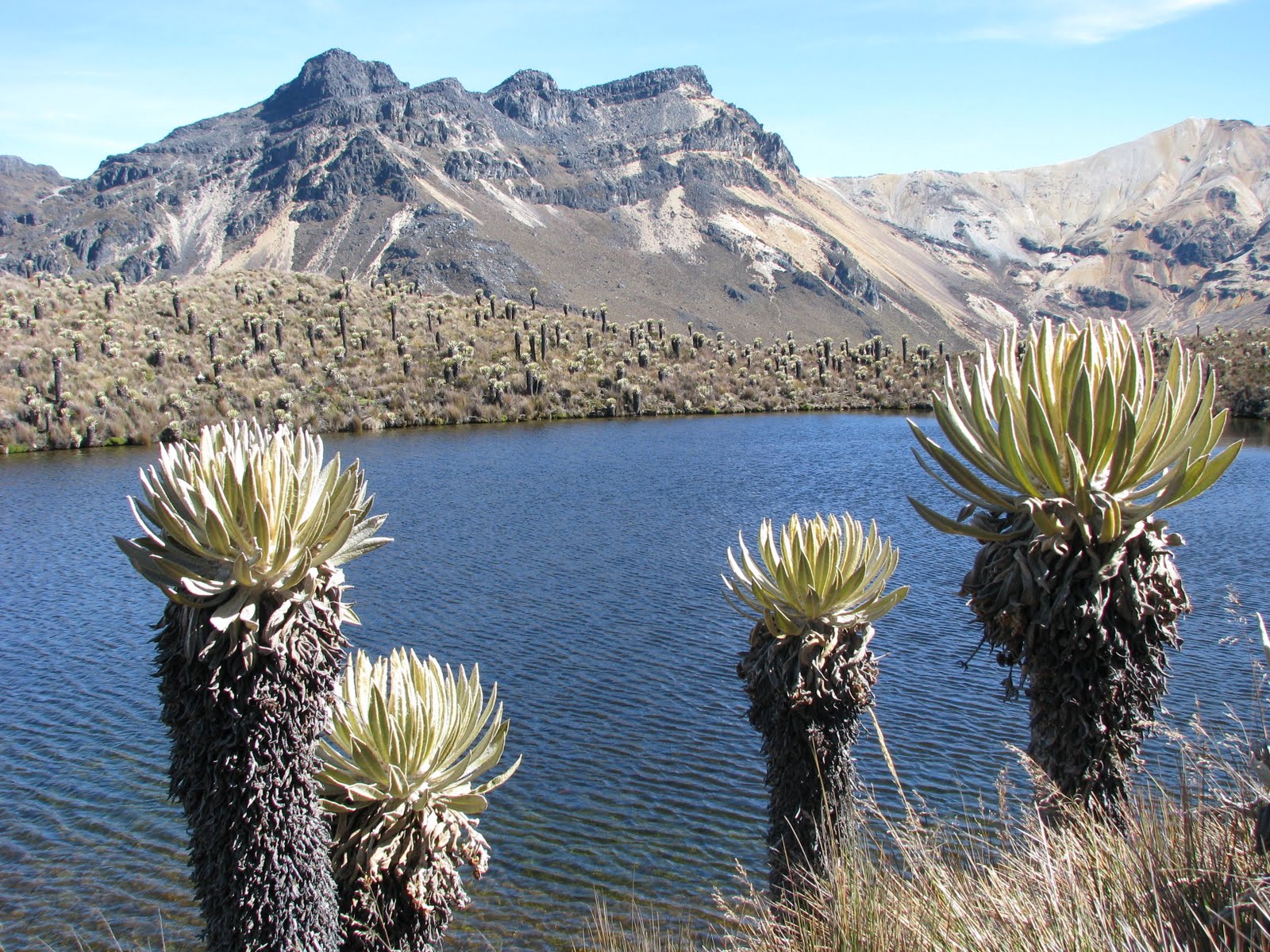 Colombia al Natural: Parque Natural los Nevados