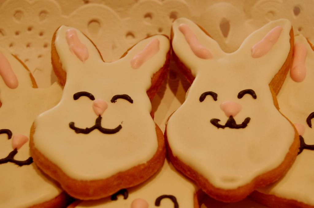[cookies+conejo.JPG]