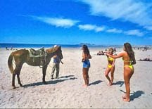 [puerto+penasco-web.jpg]