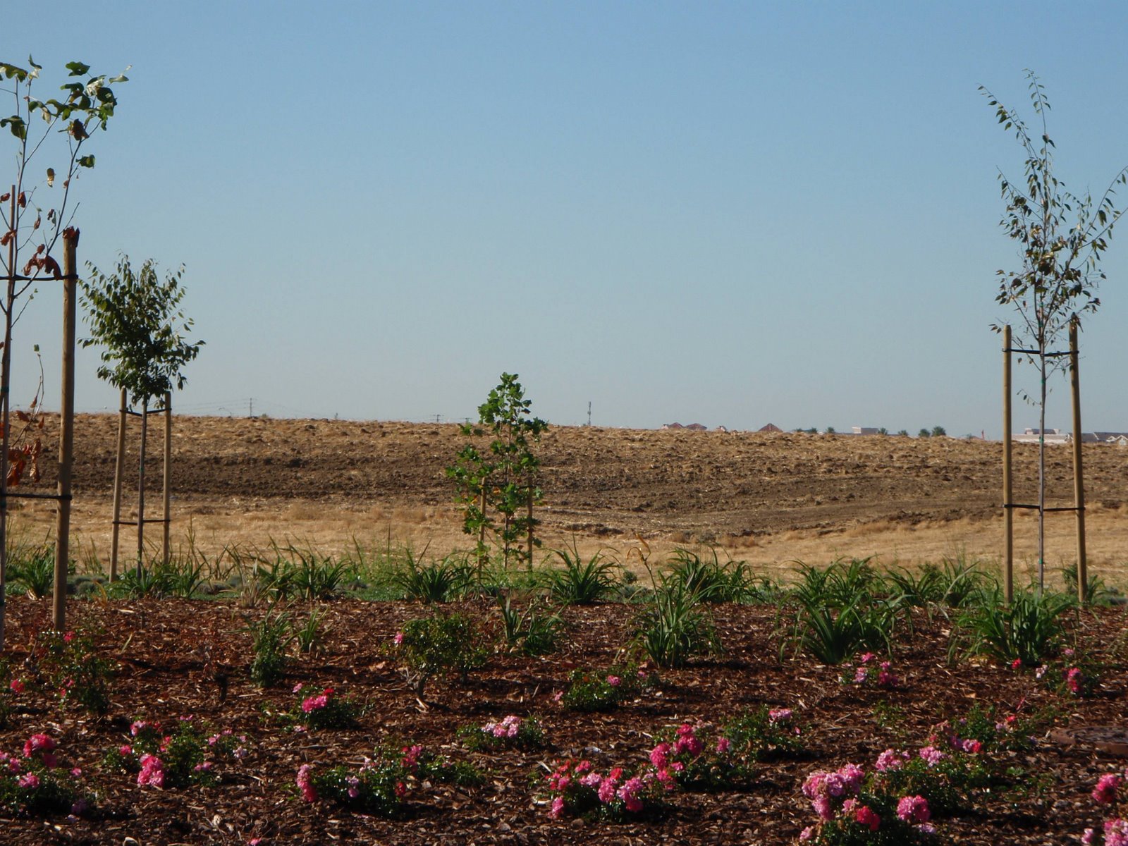 [regionalpark3.jpg]