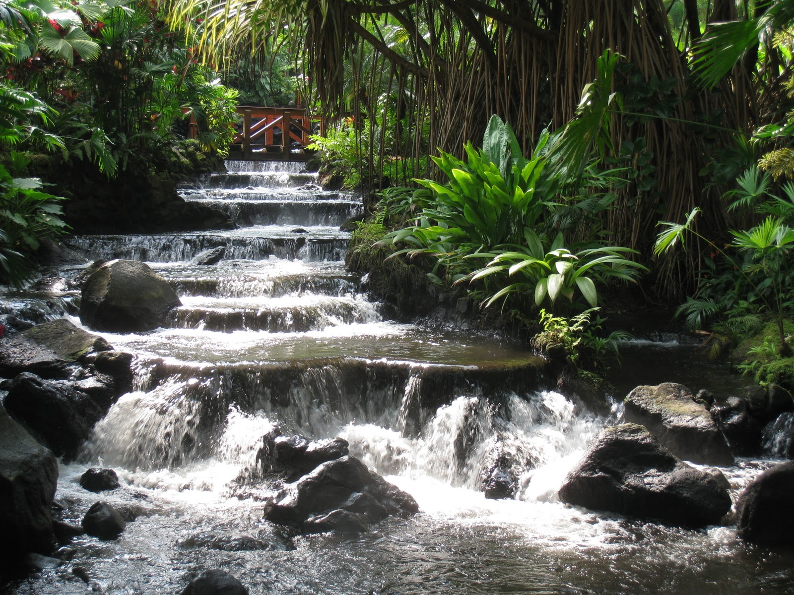 Costa RicaTrip of a lifetime! Tabacon Hot Springs ResortArenal
