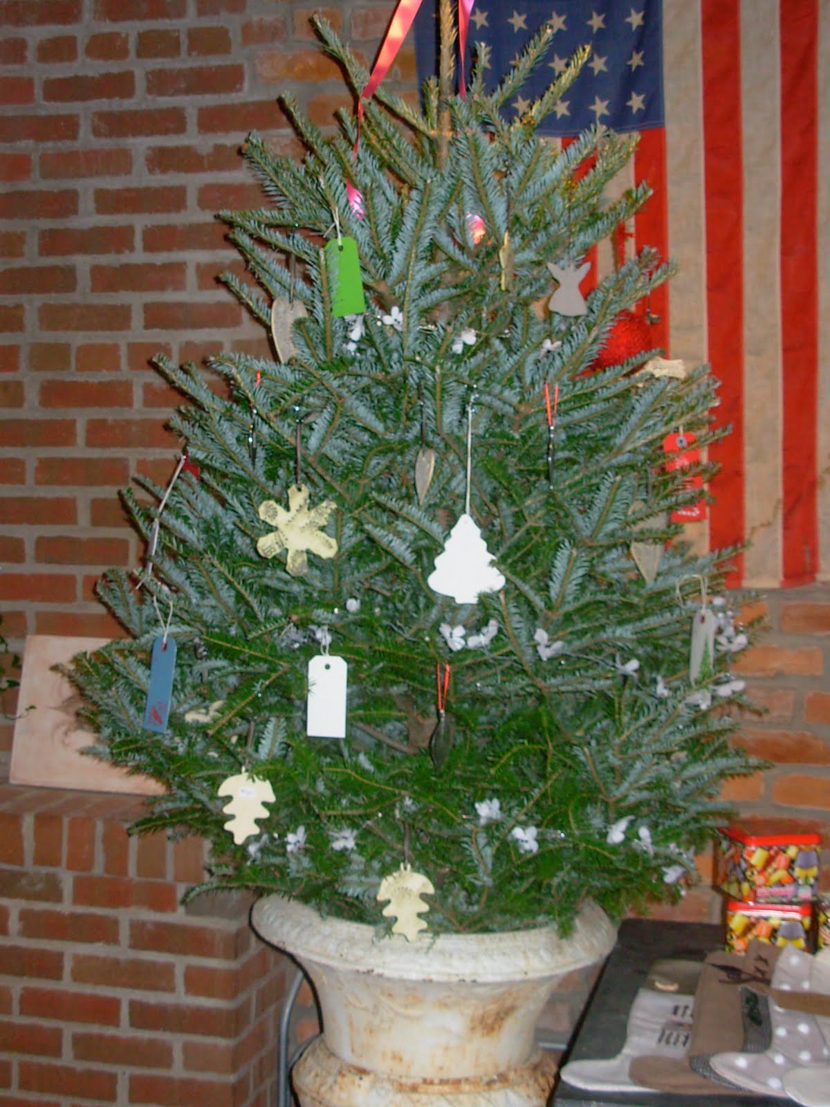 [DSCN1930.JPG]