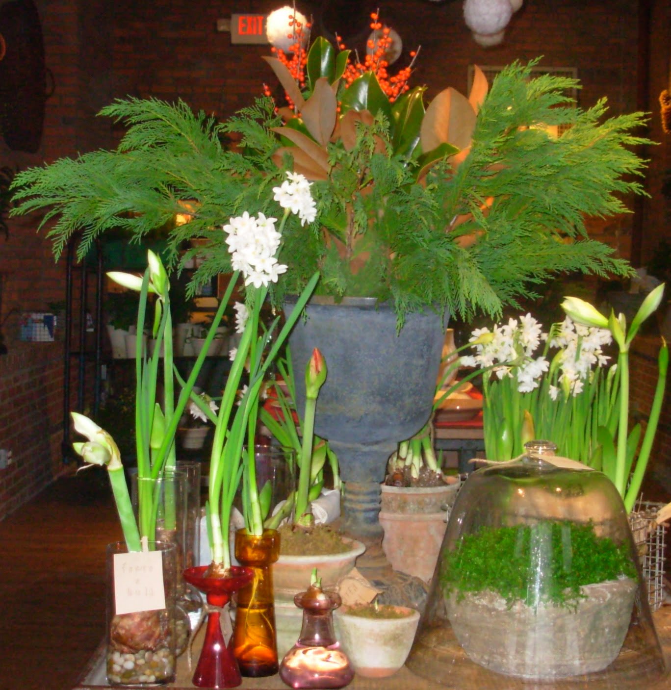[DSCN1926.JPG]