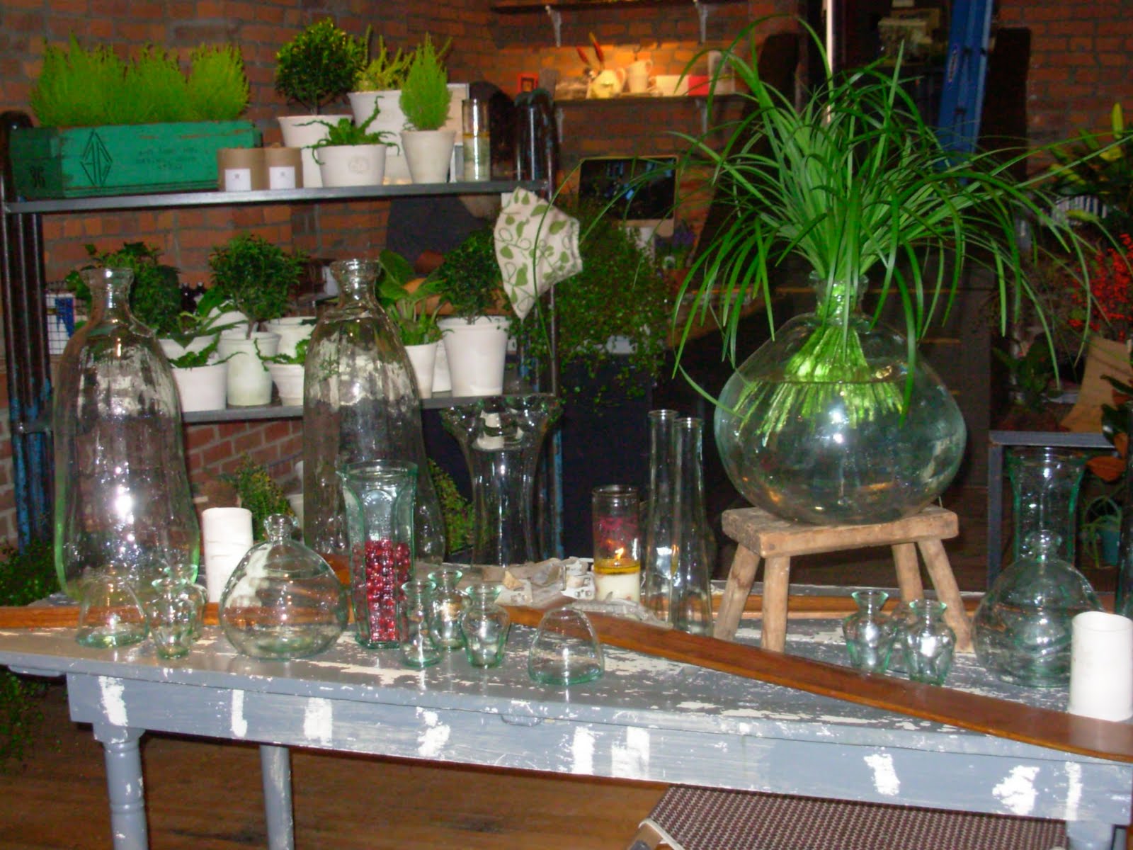 [DSCN1922.JPG]